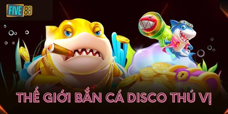 Lý do bắn cá Disco thu hút người chơi tại Five88